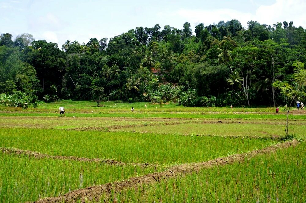 Фото Captain's Lodge