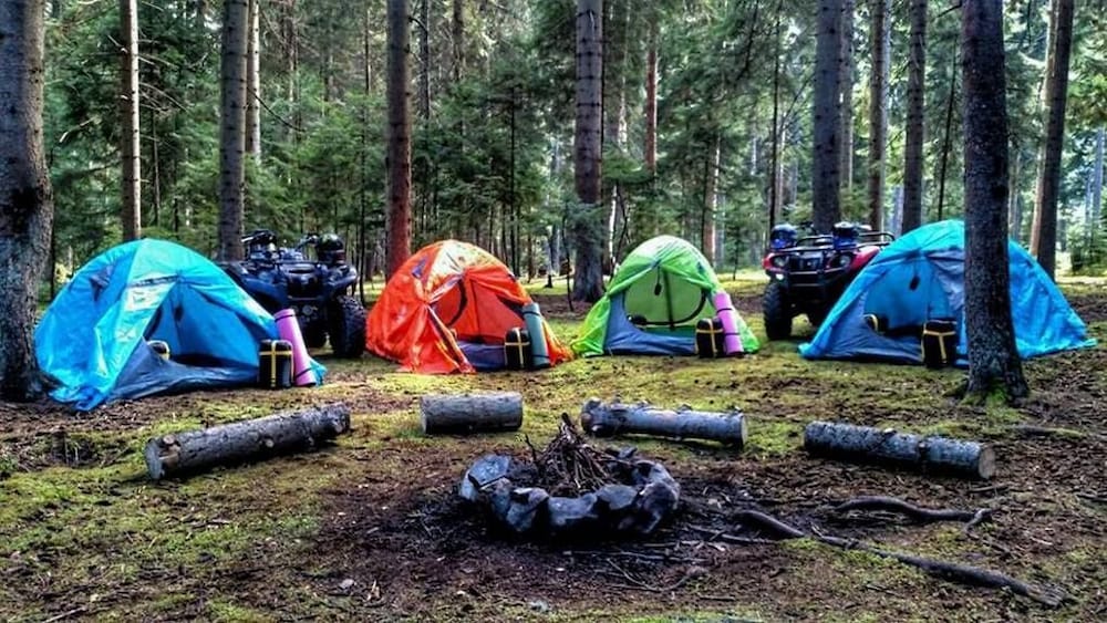 Фото EcoRest - Likani Palace