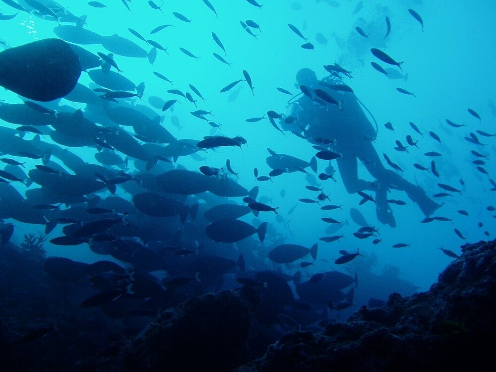 Фото Lagoon View Maldives