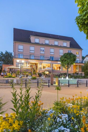 Гостиница Hotel Restaurant Le Bristol