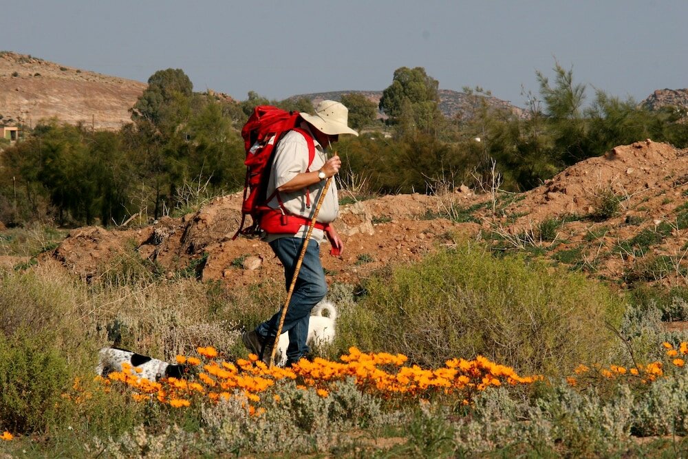 Фото Daisy Country Lodge