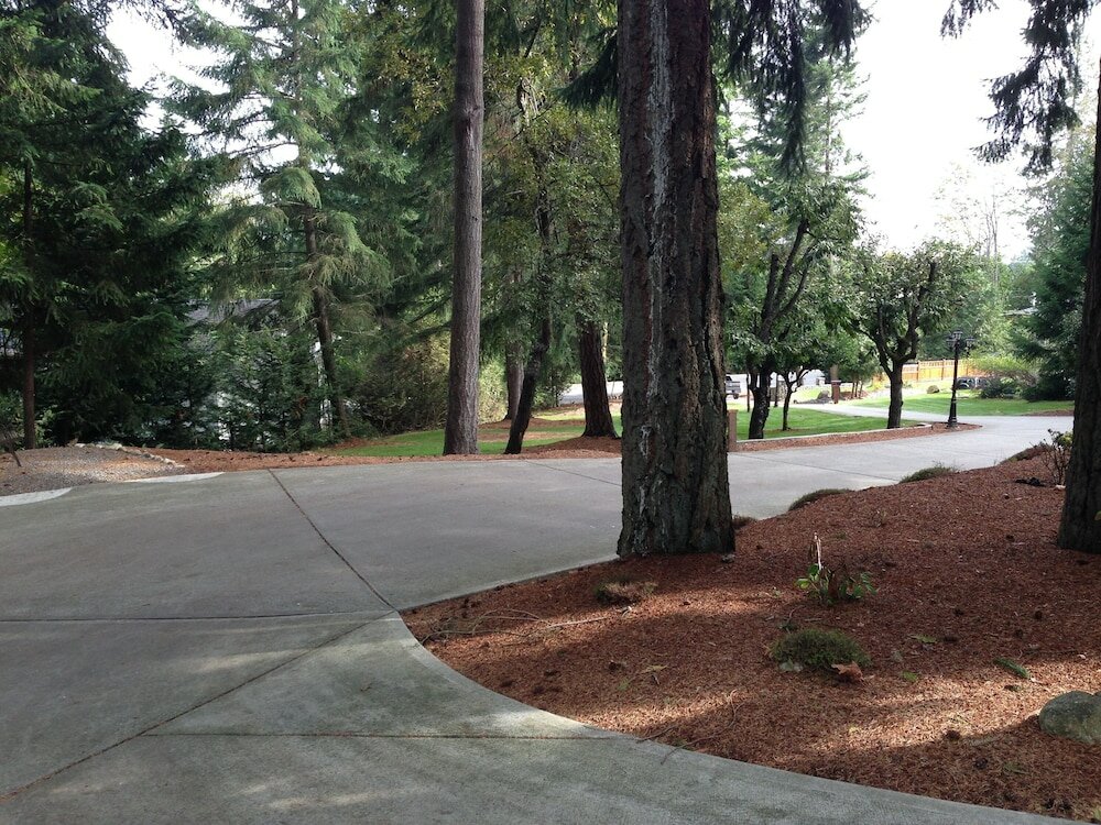 Фото Maple View Bed and Breakfast