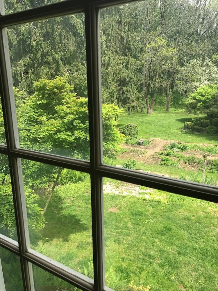 Фото Wild Wisteria