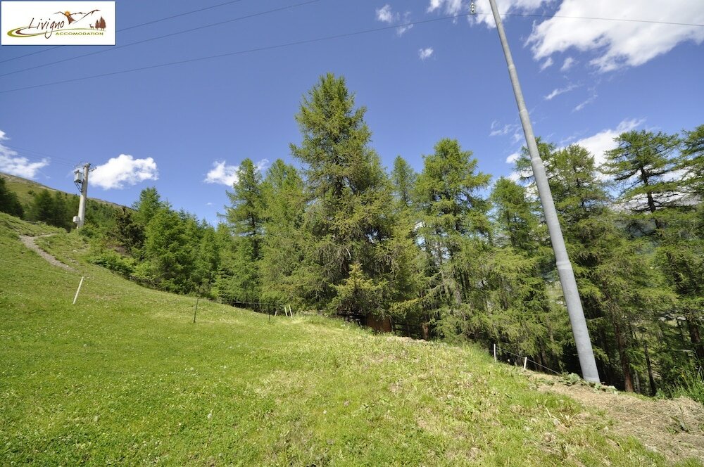 Фото Baita Hanzel & Gretel