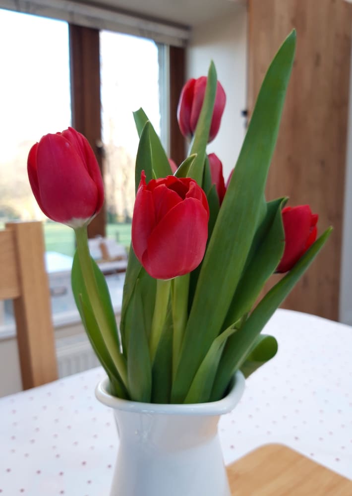 Фото Nant yr Onnen B&b and Ysgubor Holiday Cottage