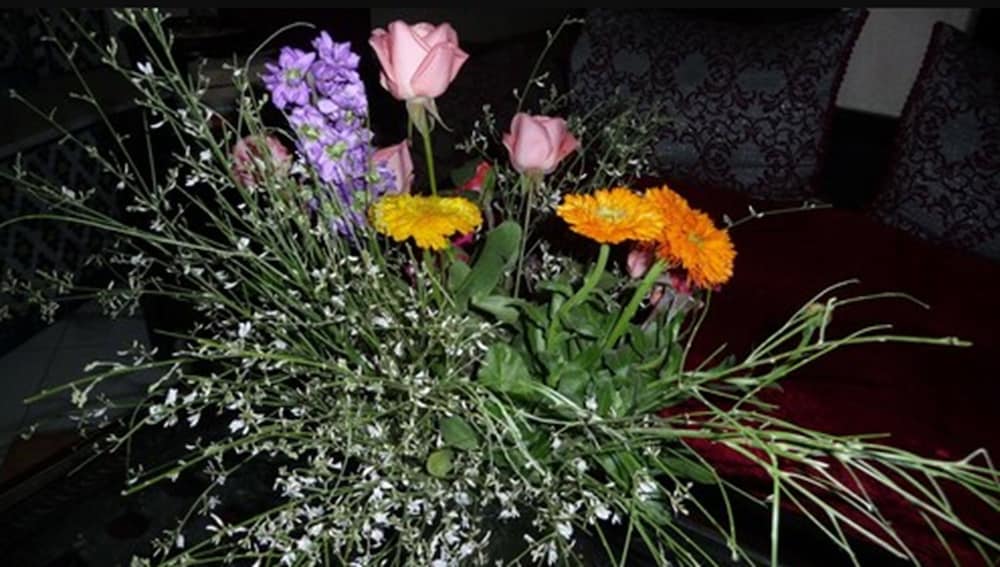 Фото Hotel Narjisse