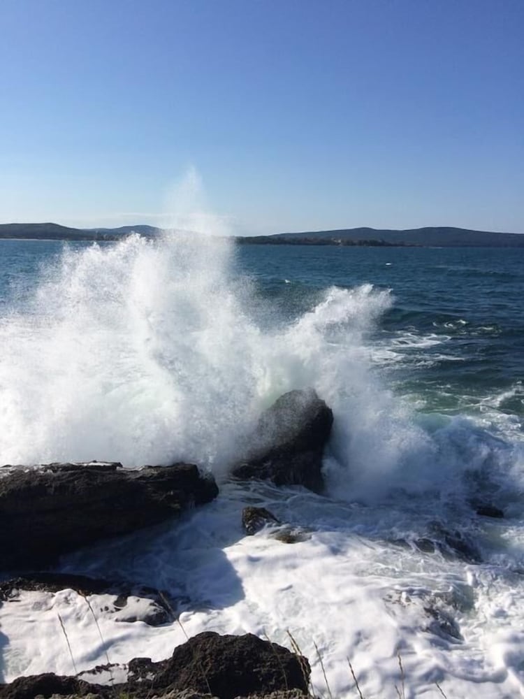 Фото Hotel Marina