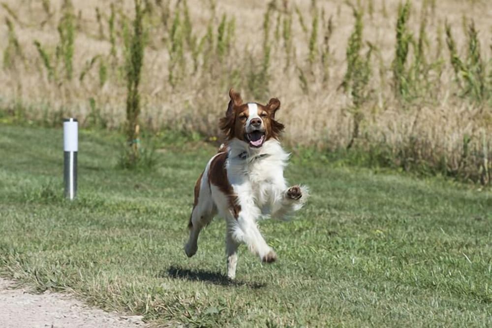 Фото Agriturismo Querceto