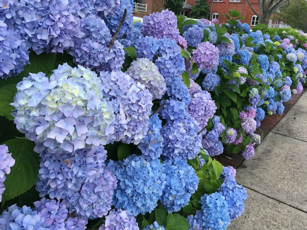 Фото Frederick William House