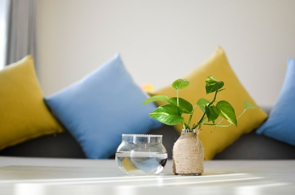 Фото Palmier Hotel