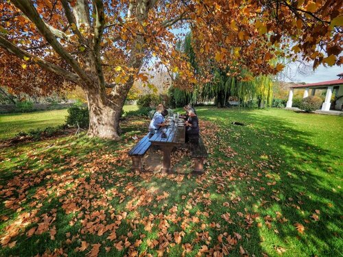 Внешний вид отеля Ganora Guestfarm & Excursions в Муниципалитете Камдебу, фото 5