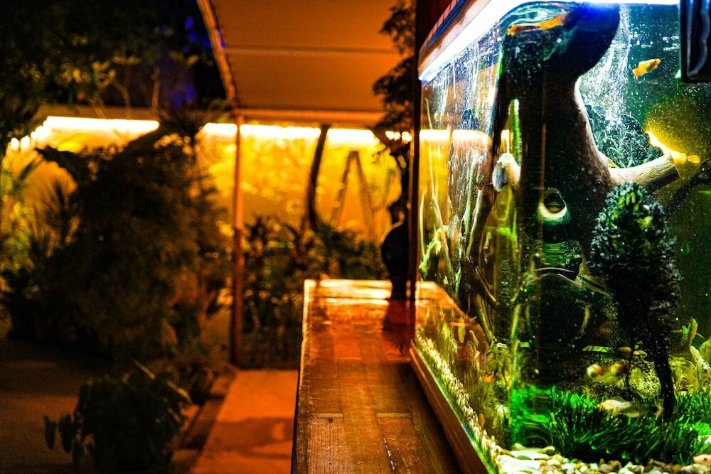 Фото Banyan Villa Maldives