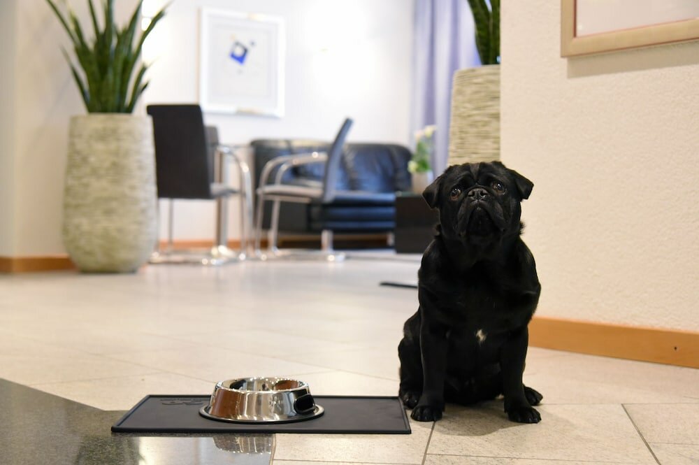 Фото Hotel Engel