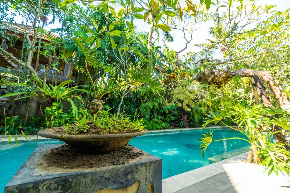 Фото The pause inn Soca 1