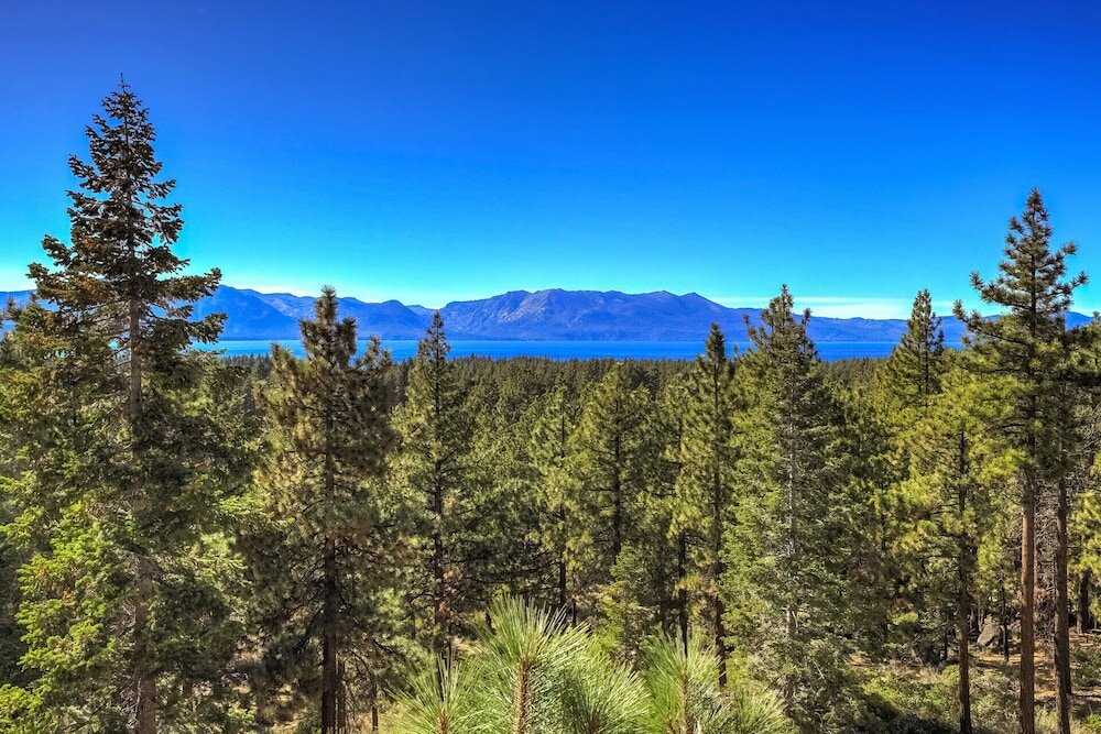 Фото Bear Claw Estate