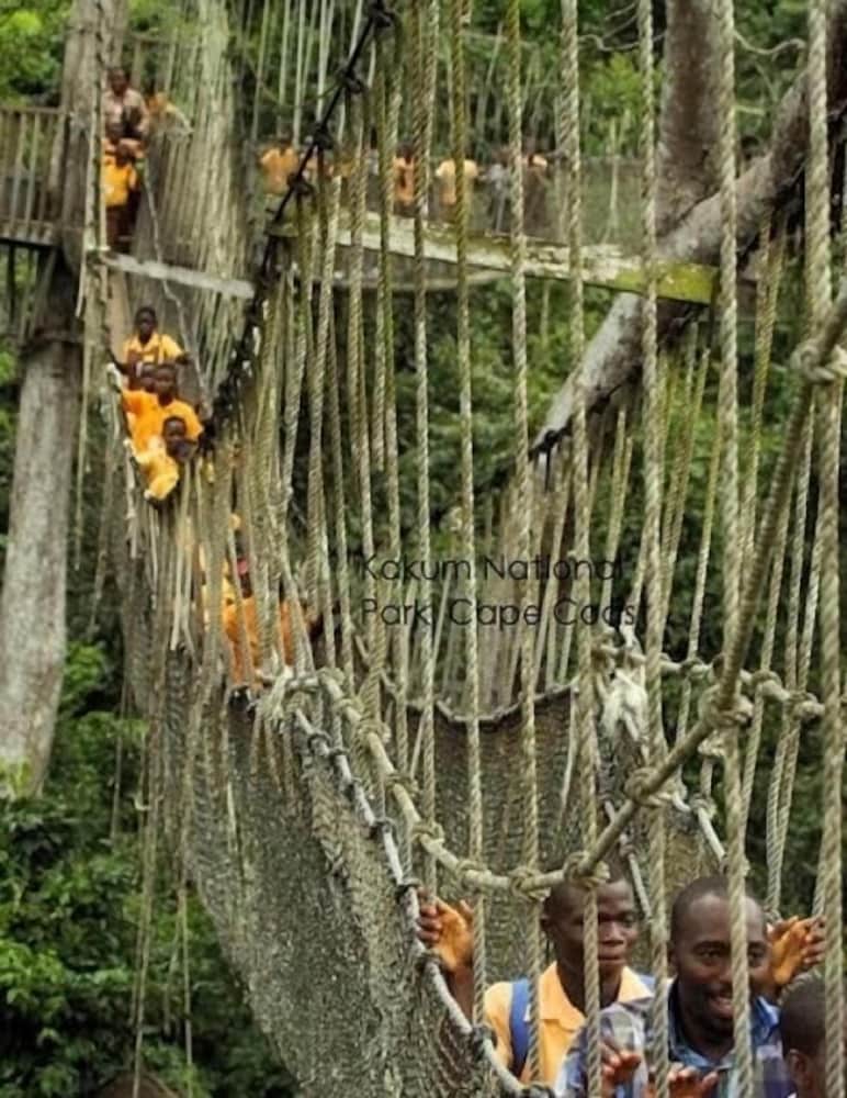 Фото Marrets International