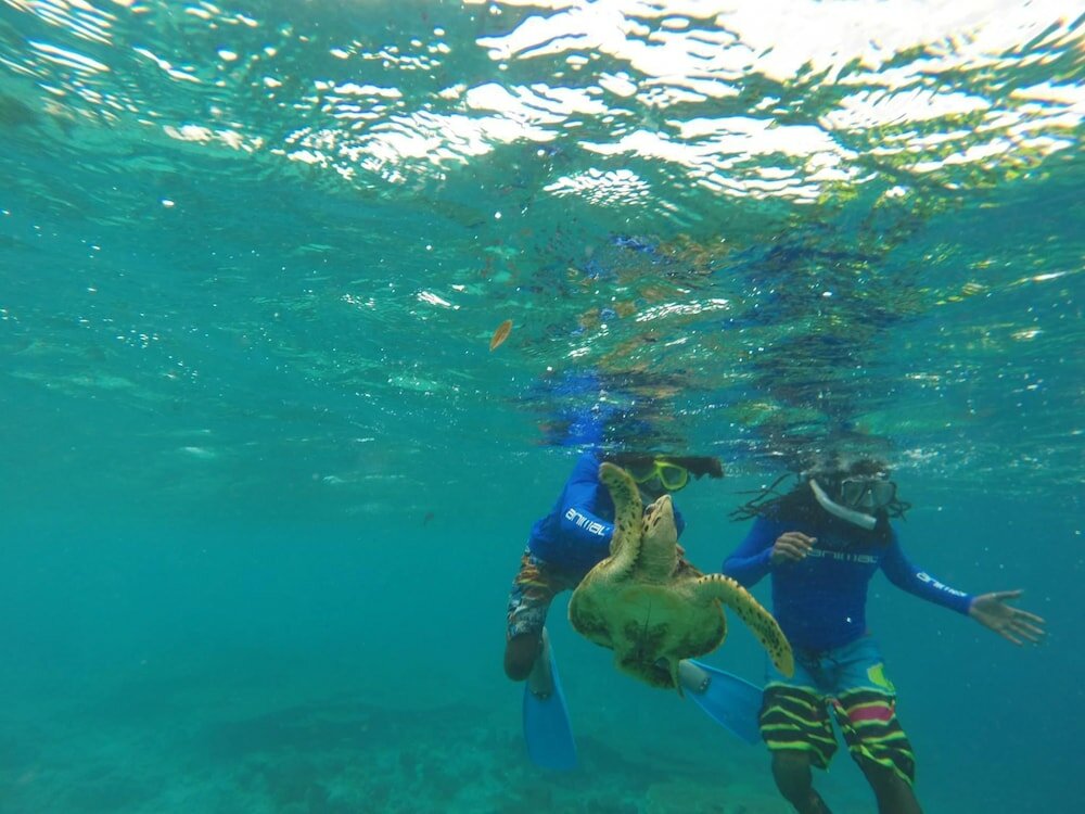 Фото Rasdhoo Coralville Hotel