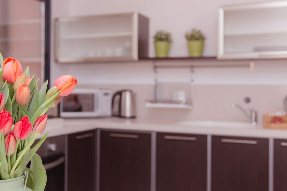 Фото Shenkin Vilmar Apartments