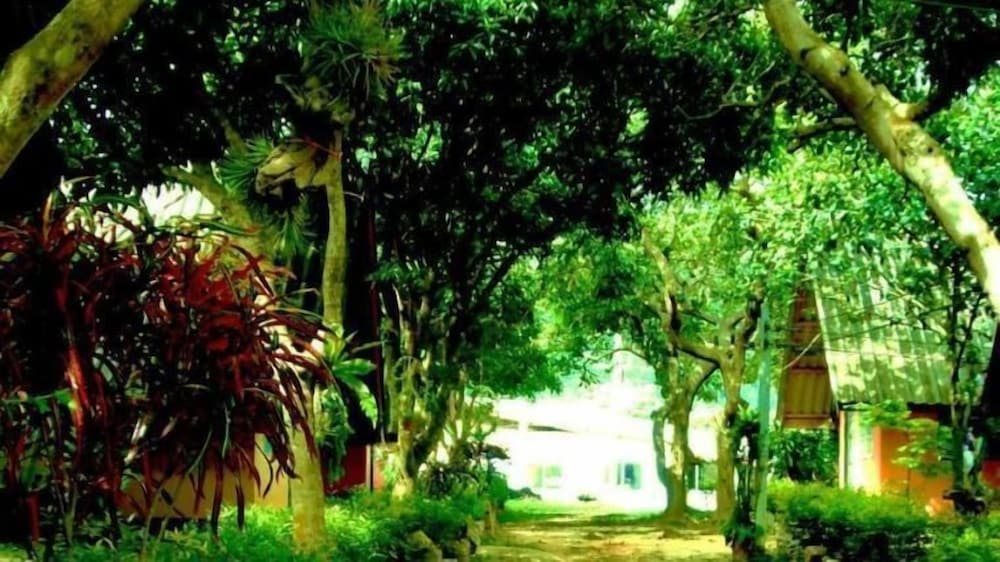 Фото Cashewnut Tree Bungalows