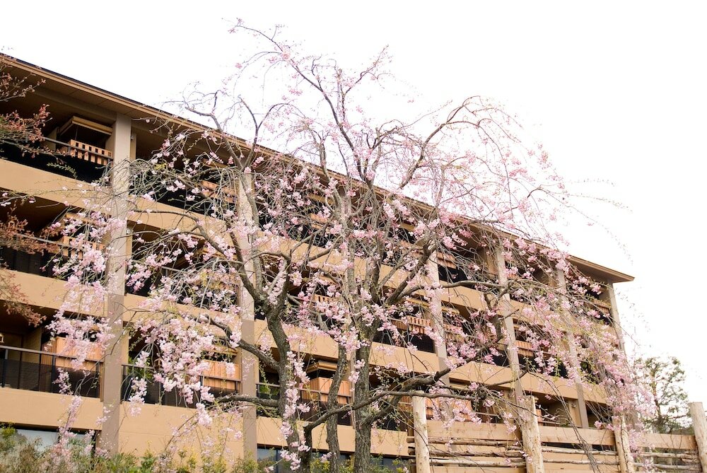 Фото Tokinoyu Setsugetsuka