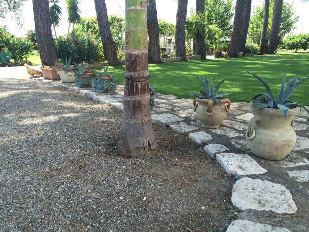 Фото Agriturismo La Stornara