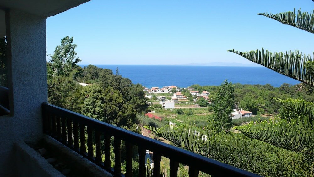 Фото Daphne Hotel