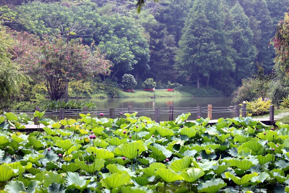 Фото Xiamen C&d Hotel-Free Welcome Snacks-Oasis Garden