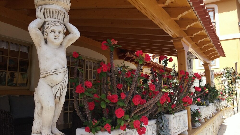 Фото Vv Apartamentos Estrella del Norte