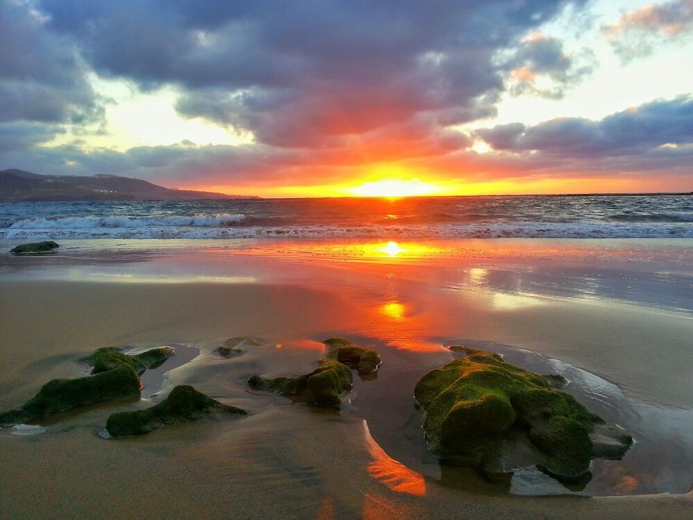 Фото Apartamentos Brisamar Canteras