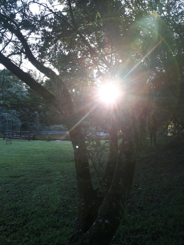 Фото African Silhouette Guesthouse