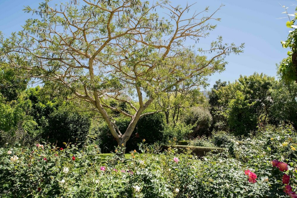 Фото 7 Church Street Guest House