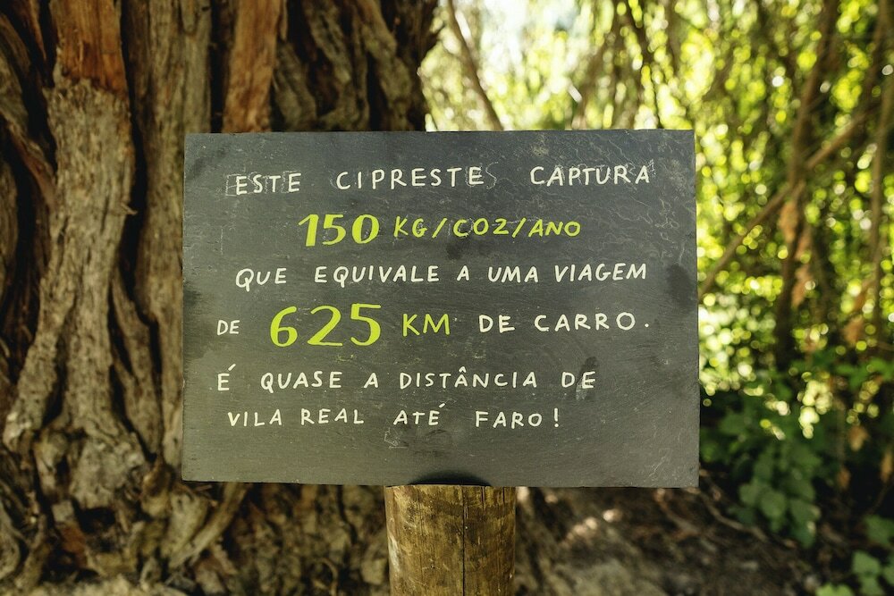 Фото Casa Agrícola da Levada Eco Village