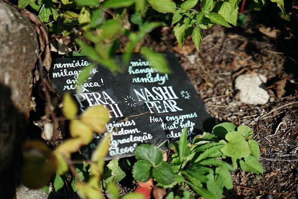 Фото Casa Agrícola da Levada Eco Village