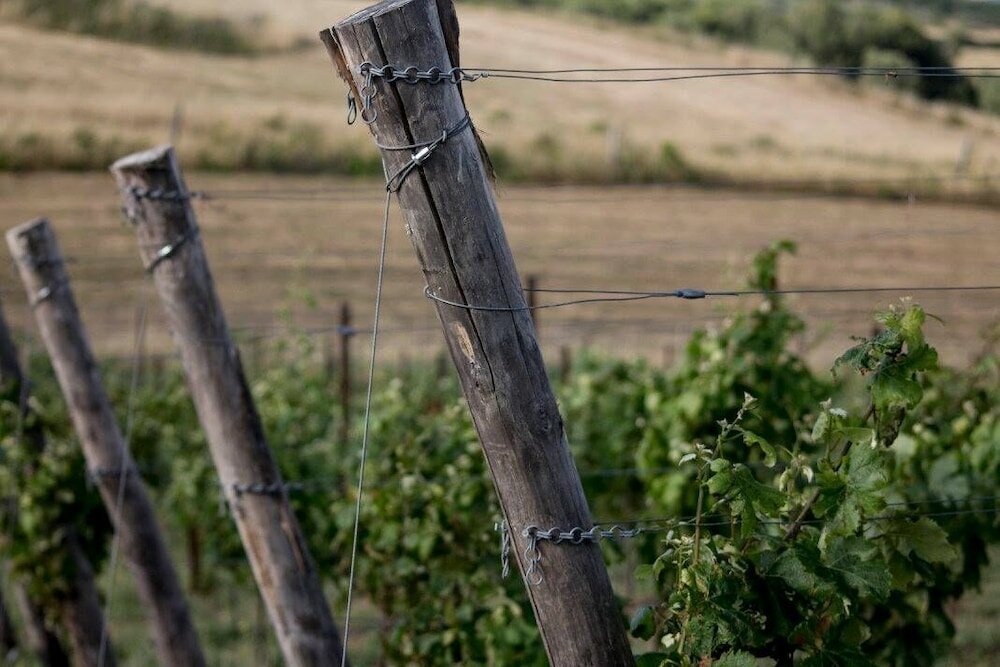 Фото Cascina al colle