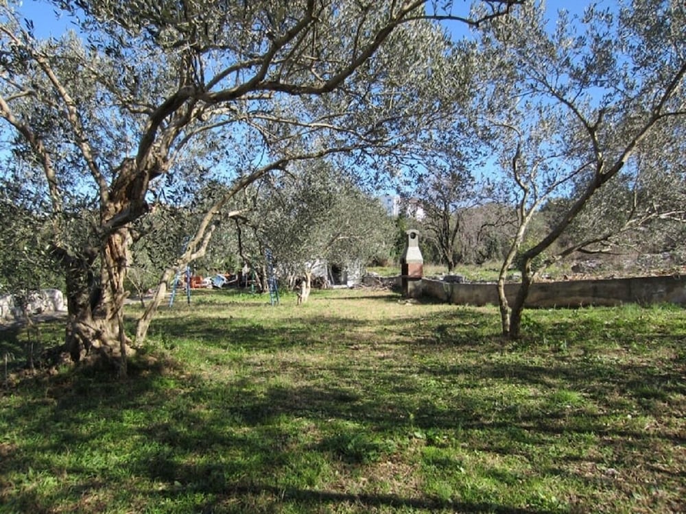 Фото Miroslava - With Pool - A4