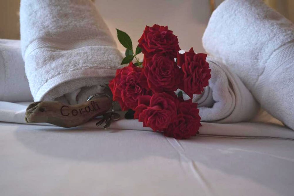 Фото Corali Rooms Pelion