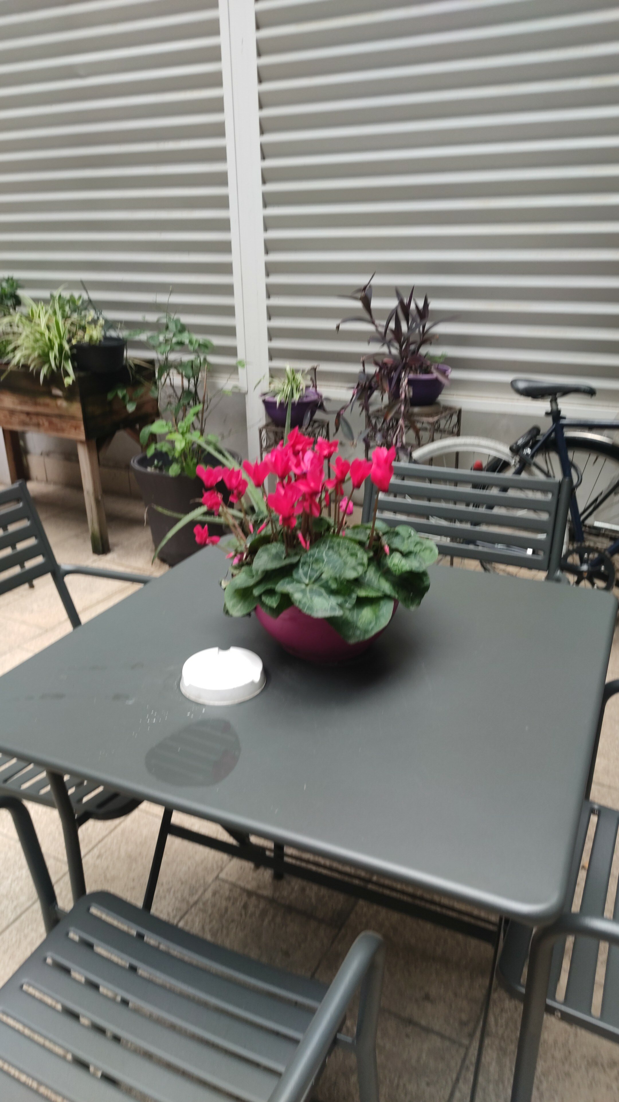 Фото Hotel Bernina