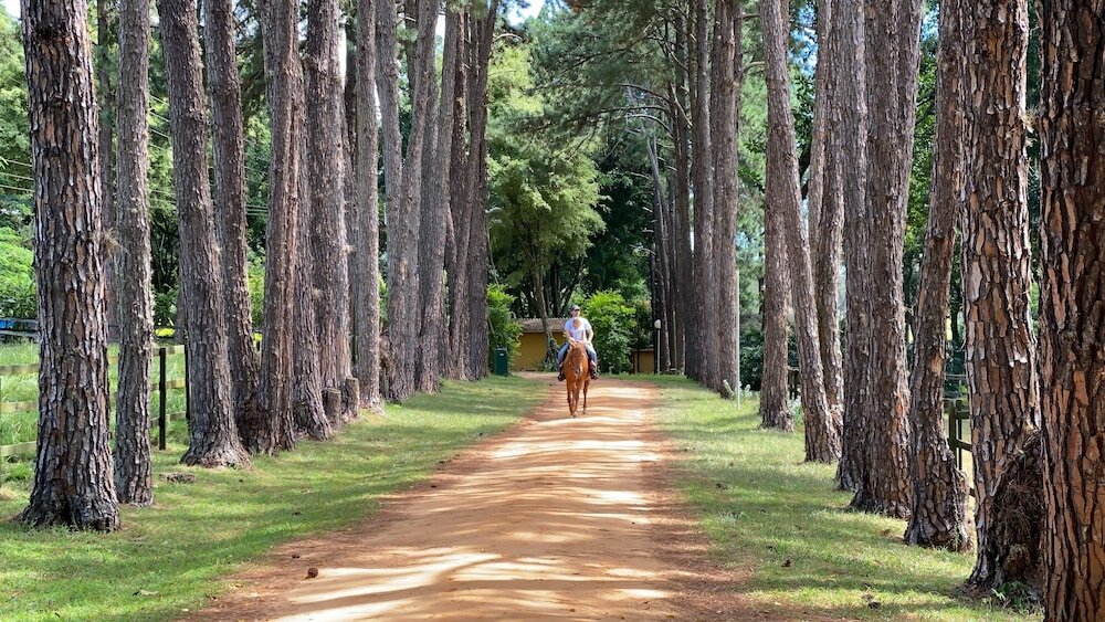 Фото Buganville Villas