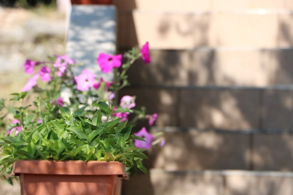 Фото Nina - Free Private Parking - A3