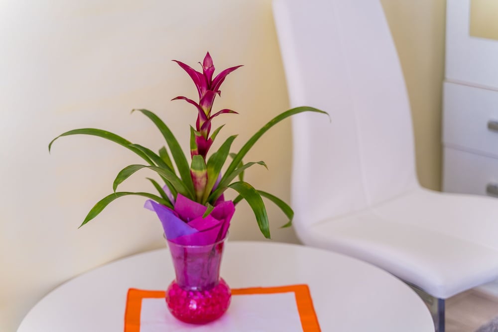 Фото Rooms Katja & Lara