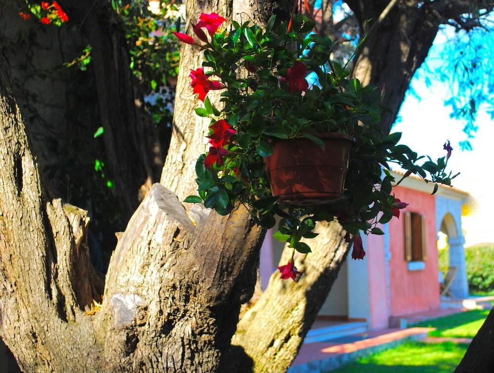 Фото Appartamenti Vecchio Stazzo