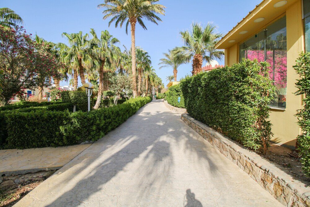 Фото AquaView apartment Resort and Aqua Park