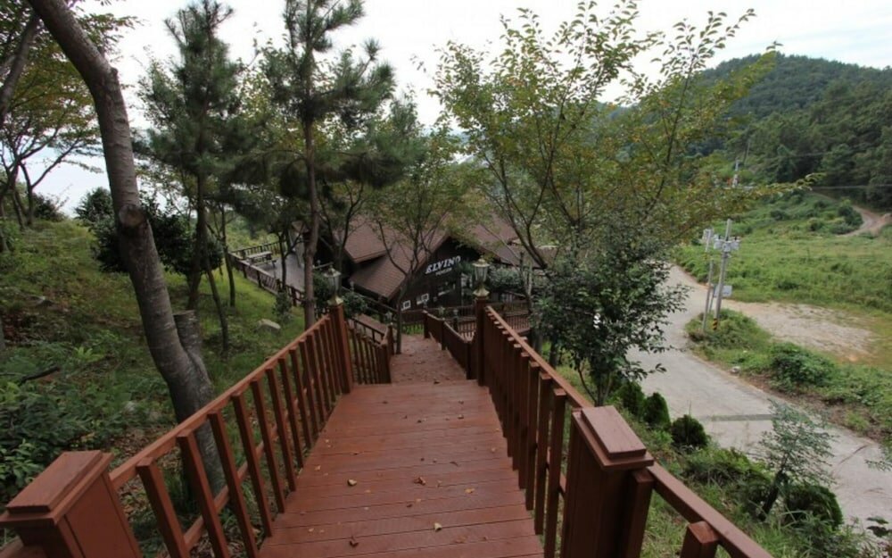 Фото Yeosu Elvino Pension
