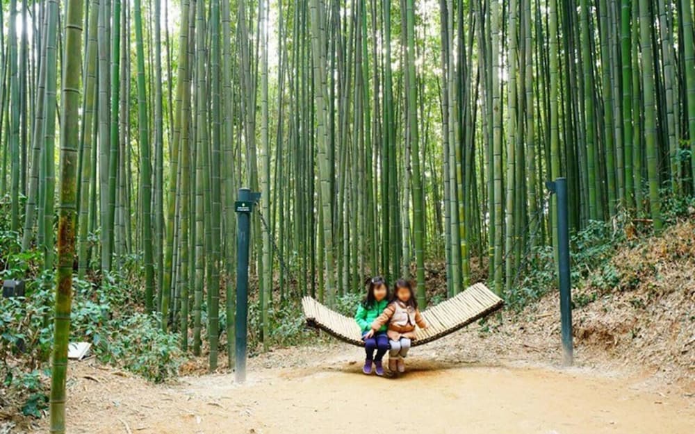 Фото Damyang Dambit Pension