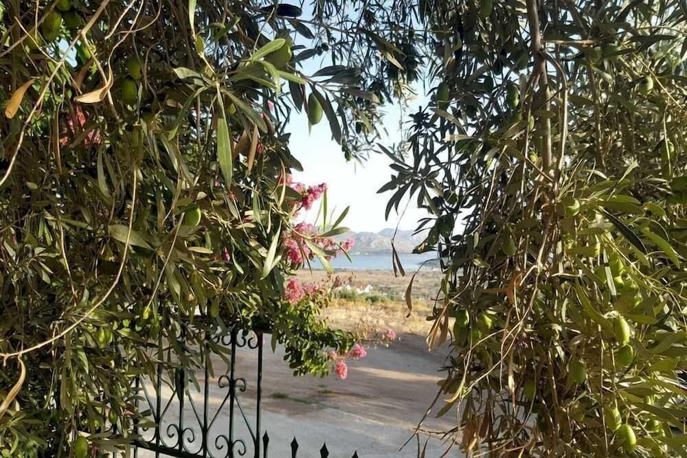 Фото Villa Christina