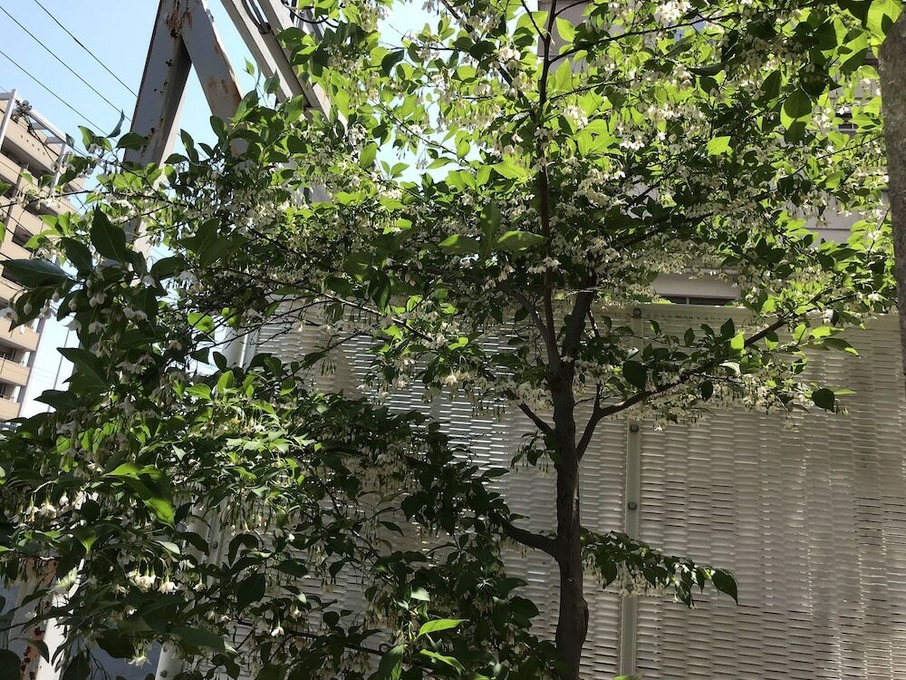 Фото Career Corporation