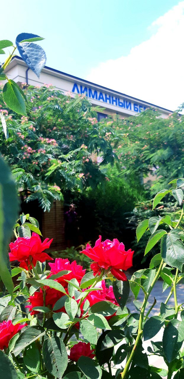 Фото Лиманный берег