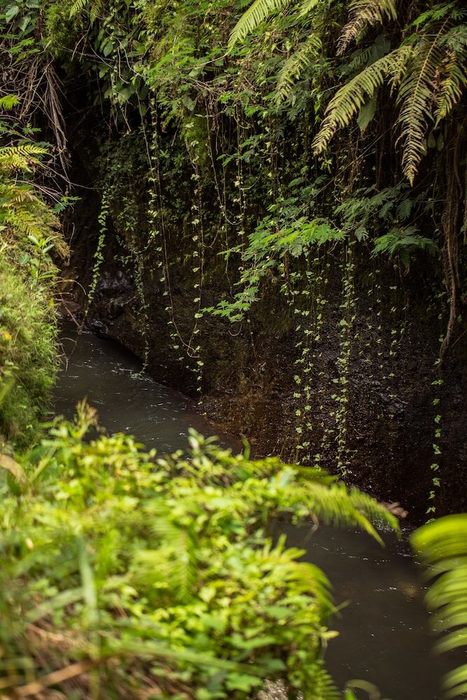 Фото Pertiwi Bisma 1