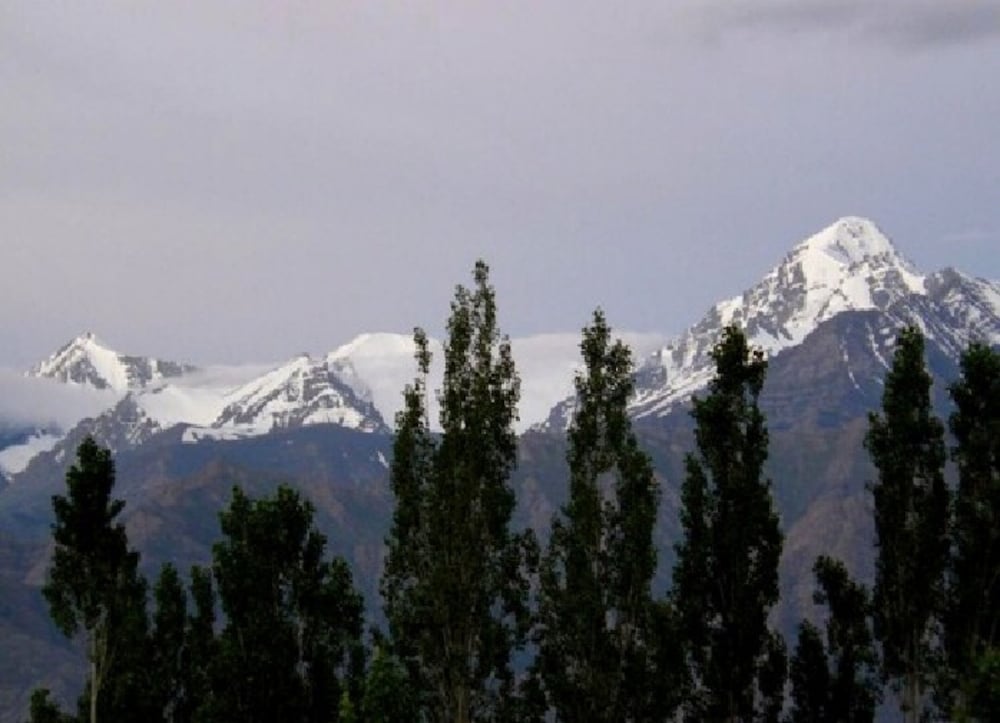 Фото Tih Hotel Kidar, Leh