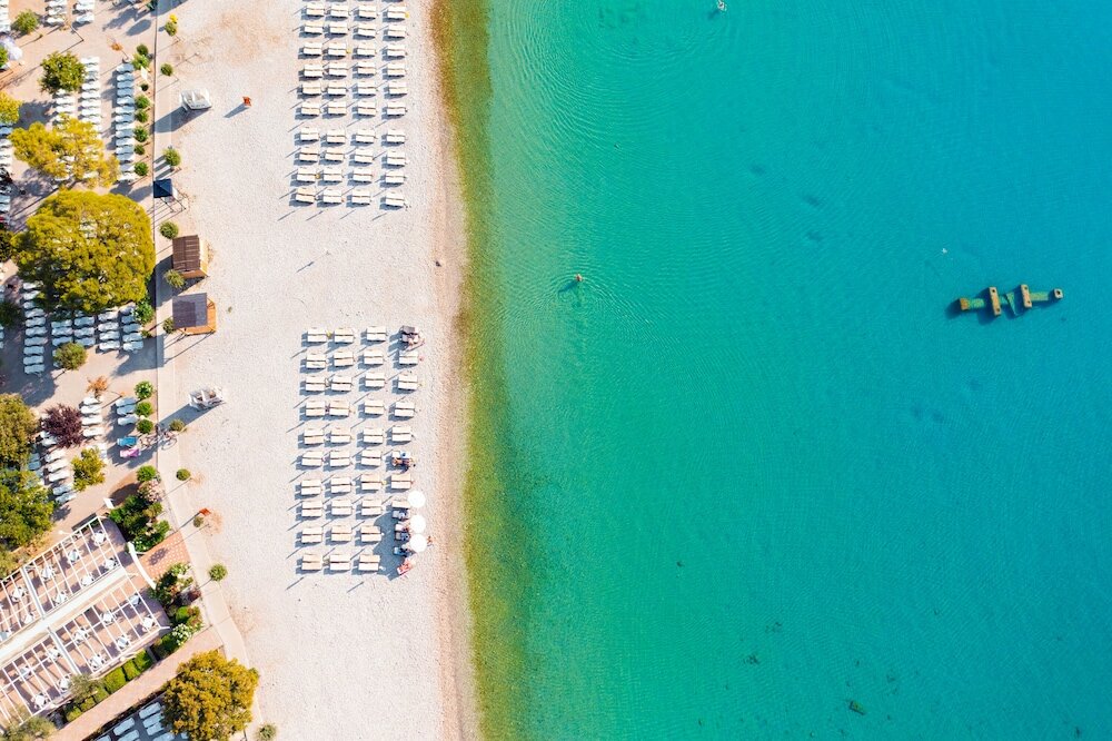 Фото Hotel Hedera